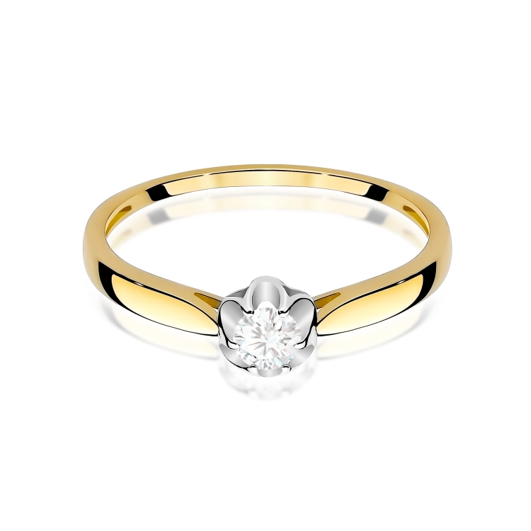 W0062.Z3.LDW.01_2.jpg